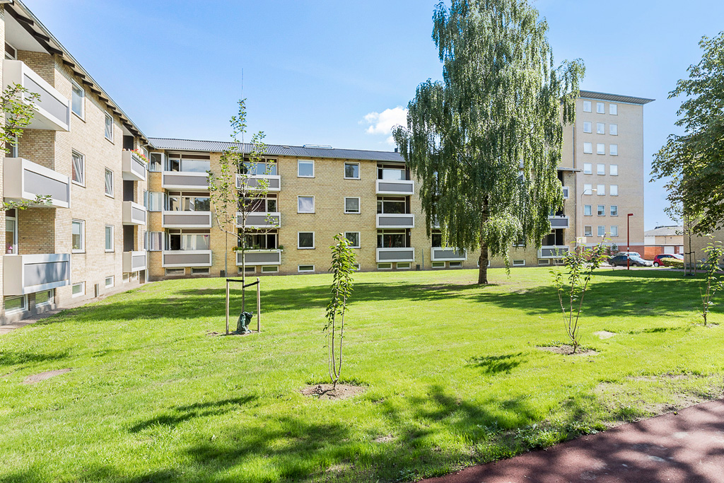 Afdeling 24, Møllevænget & Storgaarden: Falkevej 9-41 og Glarbjergvej 124-146