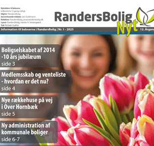 Nyhedsbillede til forsiden - ny hjemmeside 315x300px.jpg