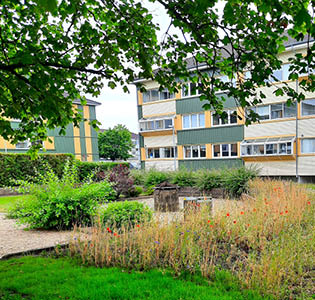 Nyhedsbillede til forsiden - Grønne fællesskaber.jpg