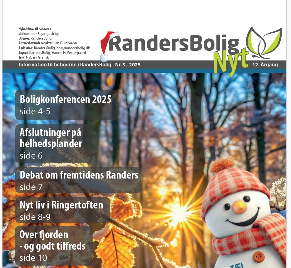 Skærmbillede 2025-11-25 191525.jpg