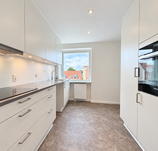 Nyhedsbillede til forsiden - gammel hjemmeside 315x300px.jpg (1)